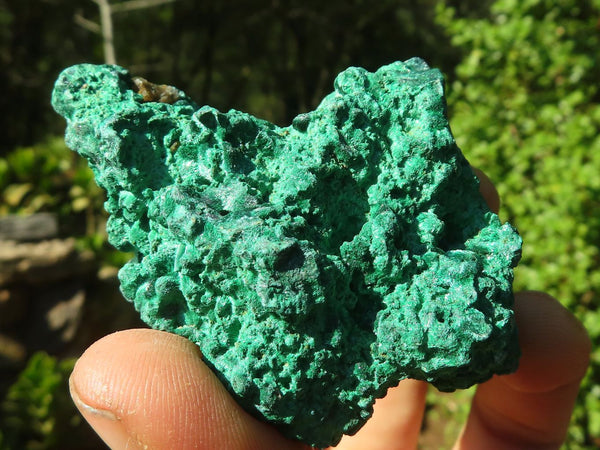Natural Chatoyant Silky Malachite Specimens  x 6 From Kasompe, Congo - Toprock Gemstones and Minerals 