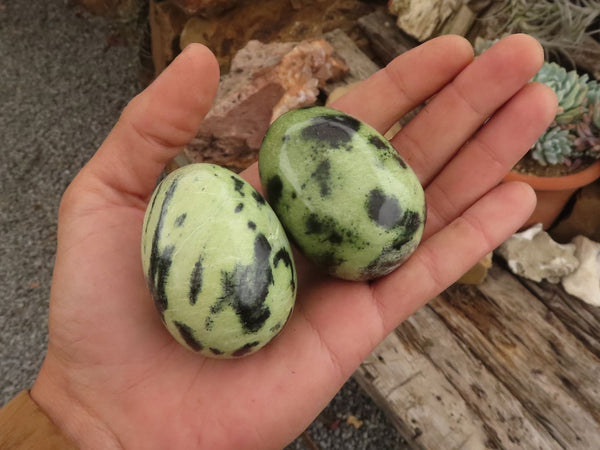 Polished Spotted Leopard stone Eggs x 6 From Zimbabwe - TopRock
