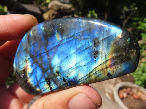 Polished Small Flashy Labradorite Standing Free Forms  x 12 From Tulear, Madagascar - Toprock Gemstones and Minerals 