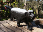 Polished  Groovy Soapstone Honey Badger Carving x 1 From Zimbabwe - Toprock Gemstones and Minerals 