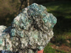 Natural Green Emerald In Mica & Quartz Matrix Specimens  x 5 From Zimbabwe - TopRock