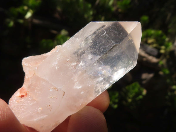 Natural Single Etched Clear Quartz Crystals  x 35 From Mpika, Zambia - Toprock Gemstones and Minerals 