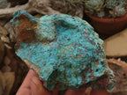 Natural Rough Blue Shattuckite Specimens  x 12 From Kaokoveld, Namibia - TopRock