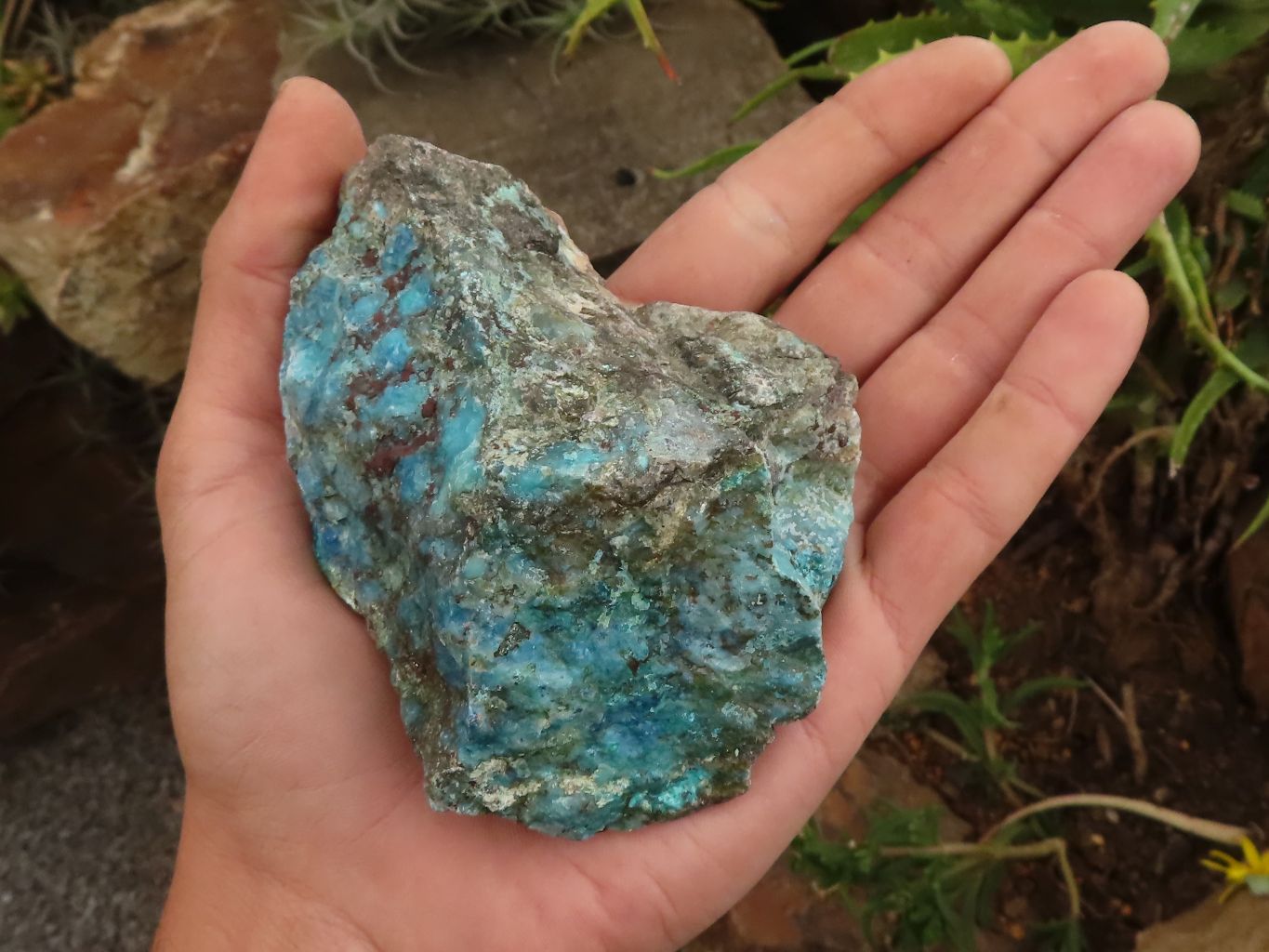 Natural Rough Blue Shattuckite Specimens  x 12 From Kaokoveld, Namibia - TopRock