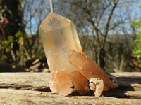 Natural Smokey Quartz Specimens With Tangerine Colouration  x 35 From Madagascar - Toprock Gemstones and Minerals 