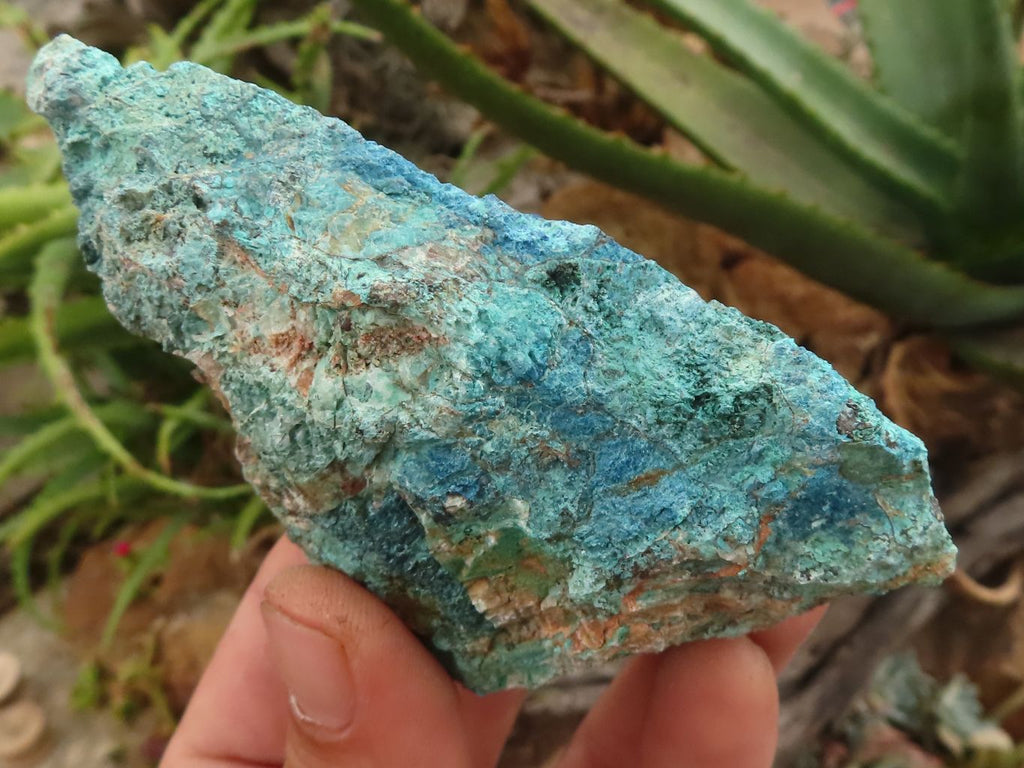 Natural Rough Blue Shattuckite Specimens  x 12 From Kaokoveld, Namibia - TopRock