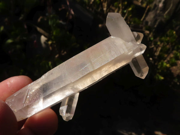 Natural Smokey Quartz Specimens With Tangerine Colouration  x 35 From Madagascar - Toprock Gemstones and Minerals 