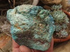 Natural Rough Blue Shattuckite Specimens  x 12 From Kaokoveld, Namibia - TopRock
