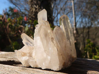 Natural Smokey Quartz Specimens With Tangerine Colouration  x 35 From Madagascar - Toprock Gemstones and Minerals 
