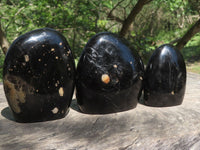 Polished Black Schorl Tourmaline Standing Free Forms  x 3 From Madagascar - TopRock