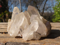 Natural Smokey Quartz Specimens With Tangerine Colouration  x 35 From Madagascar - Toprock Gemstones and Minerals 
