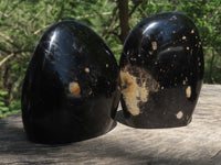 Polished Black Schorl Tourmaline Standing Free Forms  x 3 From Madagascar - TopRock