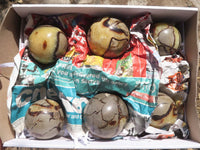 Polished Septarian (Calcite & Aragonite) Spheres x 6 From Mahajanga, Madagascar - TopRock
