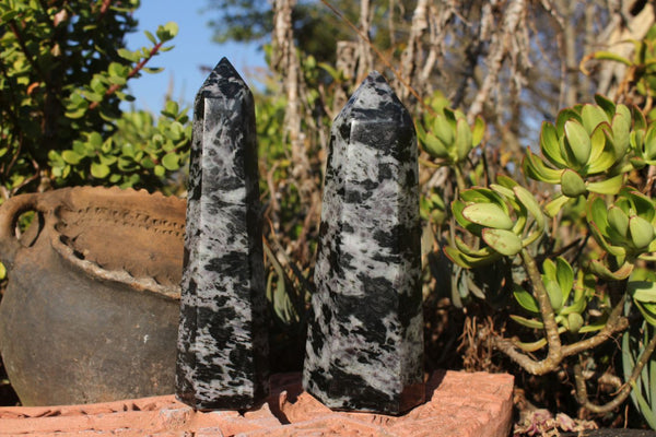 Polished Stunning Contrasting Gabbro / Merlinite Crystal Prisms x 2 From Madagascar - TopRock