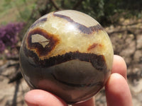 Polished Septarian (Calcite & Aragonite) Spheres x 6 From Mahajanga, Madagascar - TopRock