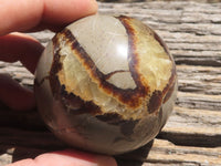 Polished Septarian (Calcite & Aragonite) Spheres x 6 From Mahajanga, Madagascar - TopRock