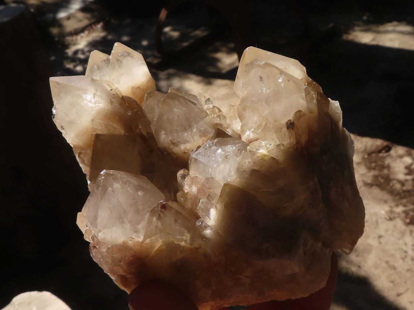 Natural Cascading Smokey Quartz Clusters x 2 From Luena, Congo - Toprock Gemstones and Minerals 