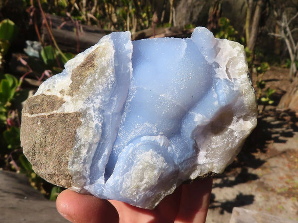 Natural Blue Lace Agate Geode Specimens x 6 From Nsanje, Malawi - Toprock Gemstones and Minerals 