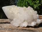 Natural White "Cathedral Window" Quartz Clusters  x 12 From Madagascar - Toprock Gemstones and Minerals 