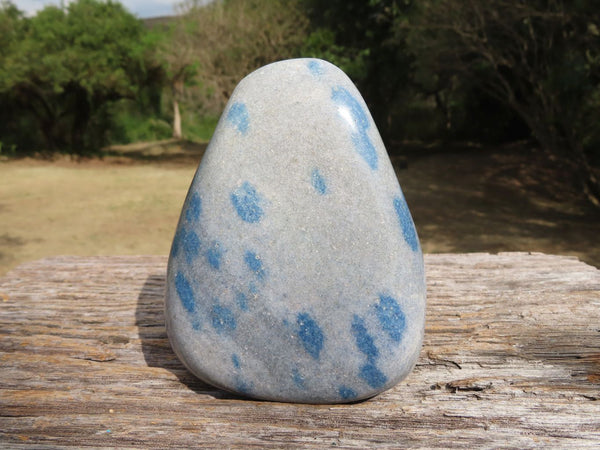 Polished Blue Spotted Spinel Dalmatian Stone Standing Free Form x 1 From Madagascar - TopRock