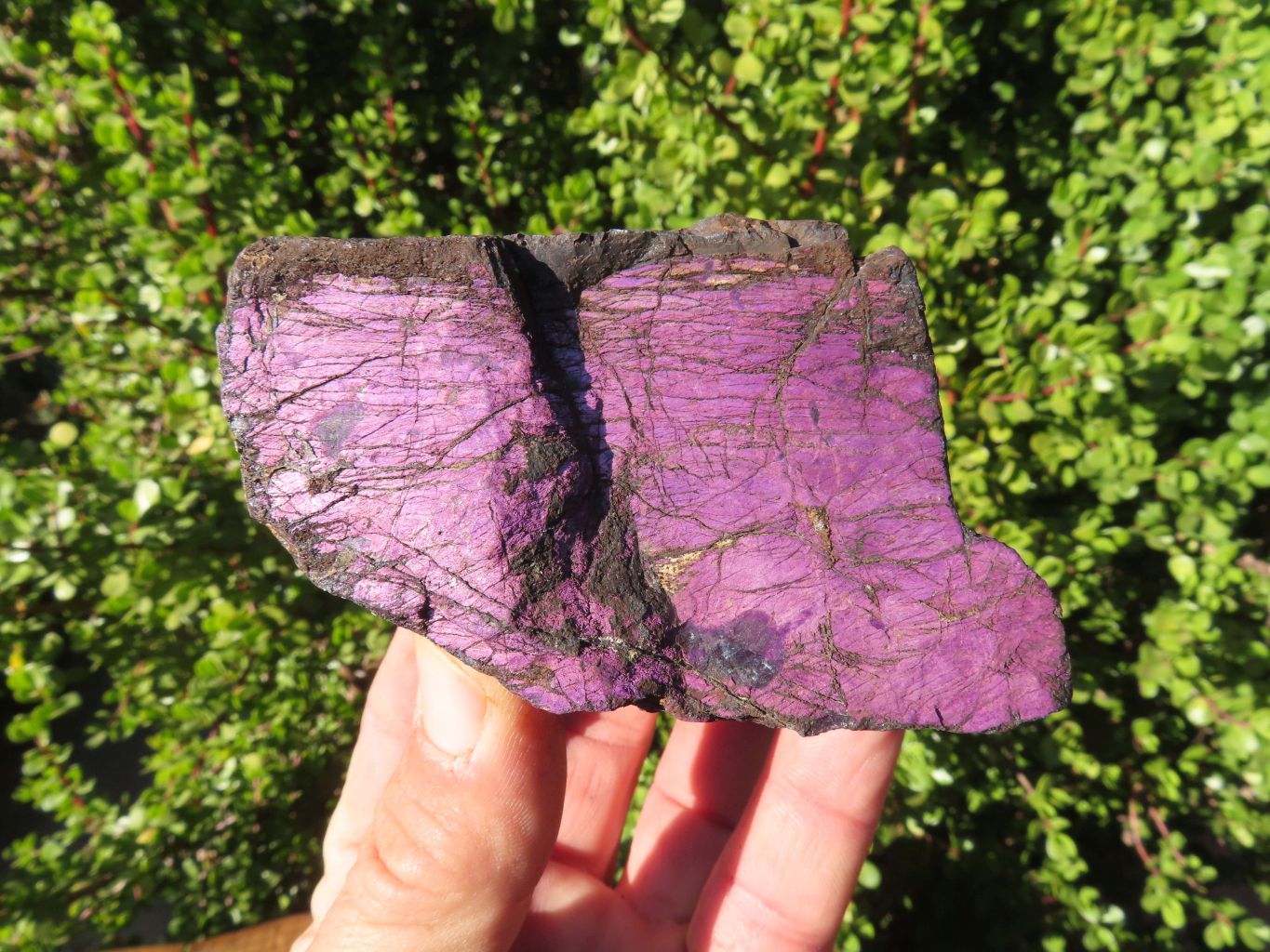Natural Large Selected Purpurite Specimens x 3 From Erongo, Namibia - TopRock