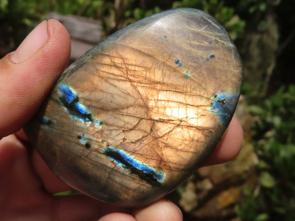Polished Small Flashy Labradorite Standing Free Forms  x 12 From Tulear, Madagascar - TopRock