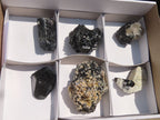 Natural Schorl Black Tourmaline Specimens x 6 From Erongo, Namibia - Toprock Gemstones and Minerals 