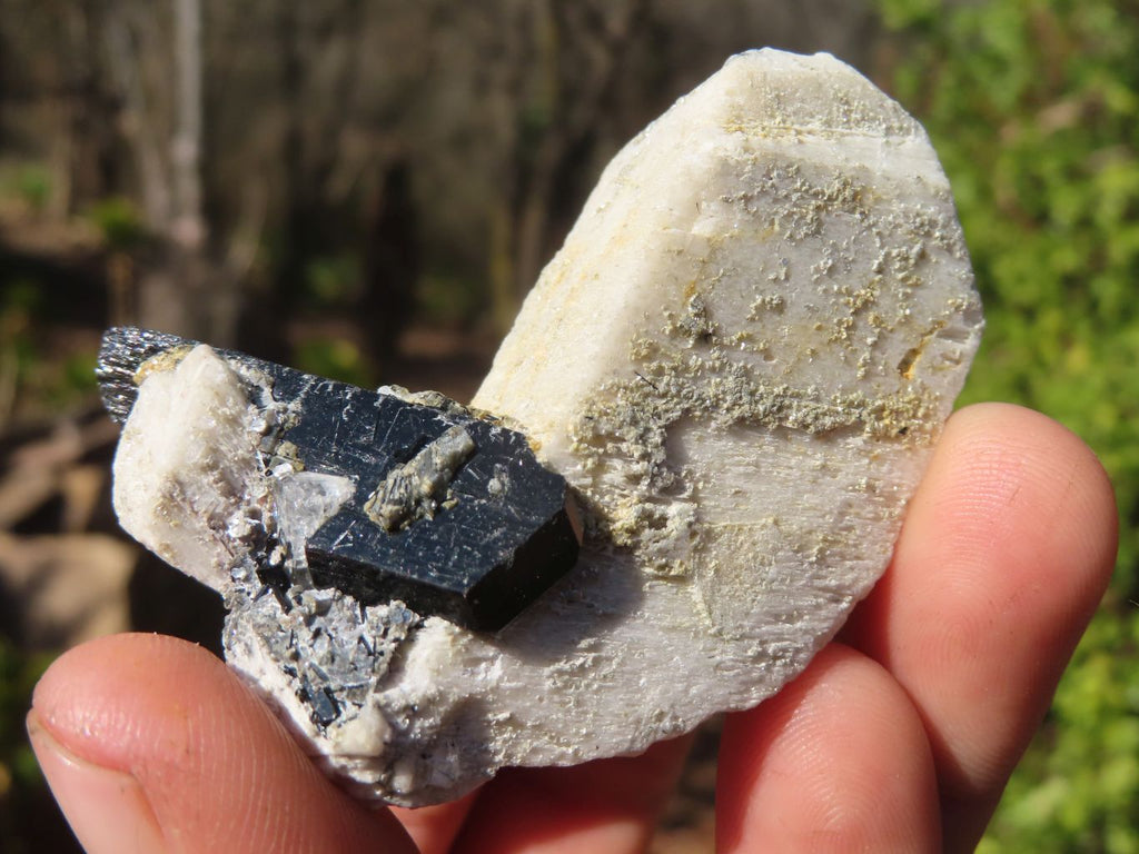 Natural Schorl Black Tourmaline Specimens x 6 From Erongo, Namibia - Toprock Gemstones and Minerals 