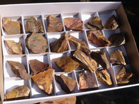 Natural Cobbed Nguni Jasper Pieces  x 24 From Northern Cape, South Africa - Toprock Gemstones and Minerals 