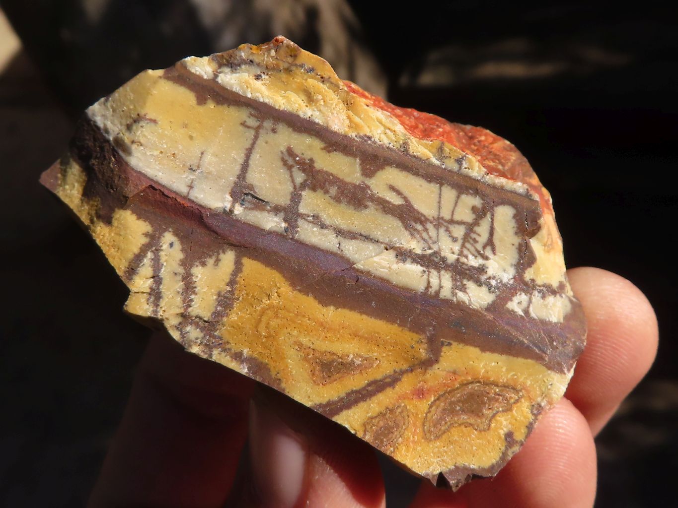 Natural Cobbed Nguni Jasper Pieces  x 24 From Northern Cape, South Africa - Toprock Gemstones and Minerals 