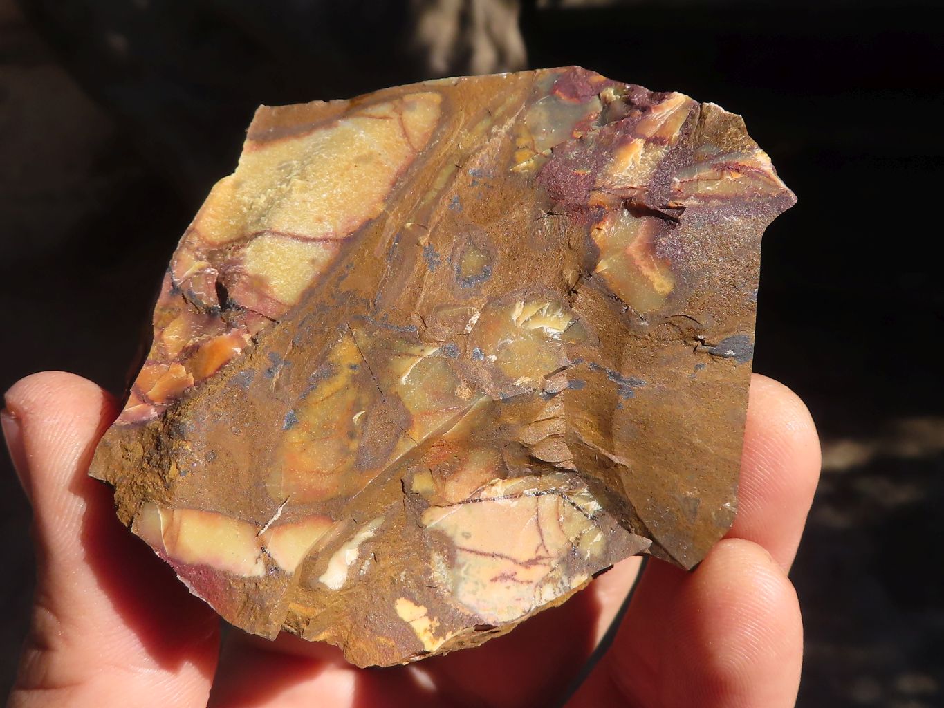 Natural Cobbed Nguni Jasper Pieces  x 24 From Northern Cape, South Africa - Toprock Gemstones and Minerals 