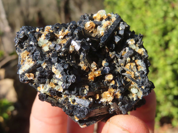 Natural Schorl Black Tourmaline Specimens x 6 From Erongo, Namibia