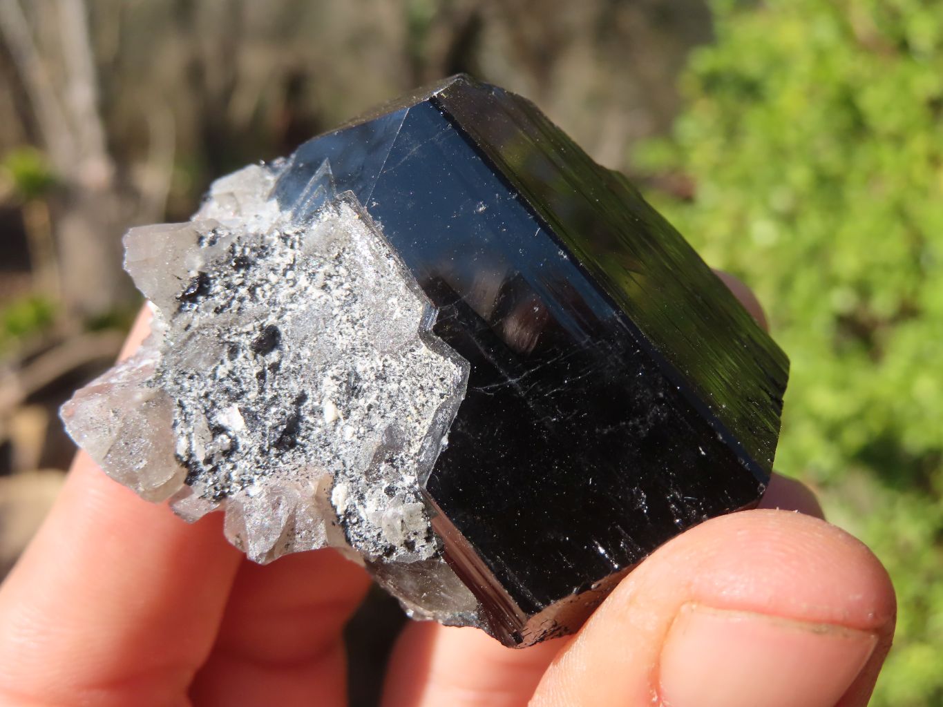 Natural Schorl Black Tourmaline Specimens x 6 From Erongo, Namibia - Toprock Gemstones and Minerals 