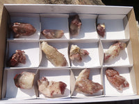 Natural Red Hematoid Quartz Crystals x 12 From Karoi, Zimbabwe - Toprock Gemstones and Minerals 