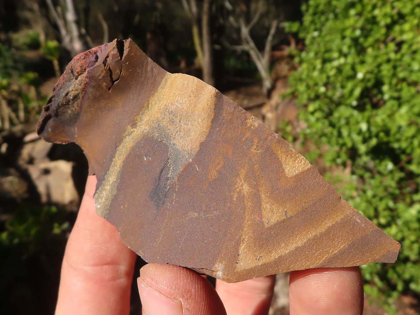 Natural Cobbed Nguni Jasper Pieces  x 24 From Northern Cape, South Africa - Toprock Gemstones and Minerals 