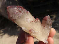 Natural Red Hematoid Quartz Crystals x 12 From Karoi, Zimbabwe - Toprock Gemstones and Minerals 