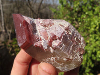 Natural Red Hematoid Quartz Crystals x 12 From Karoi, Zimbabwe - Toprock Gemstones and Minerals 