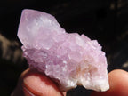 Natural Spirit Amethyst Quartz Crystals x 20 From Boekenhouthoek, South Africa - Toprock Gemstones and Minerals 