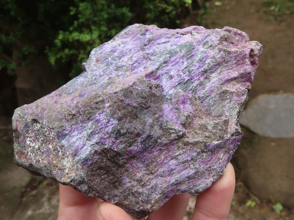 Natural Stichtite & Serpentine Standing Free Forms With Silky Purple Threads  x 6 From Boekenhouthoek, South Africa - TopRock