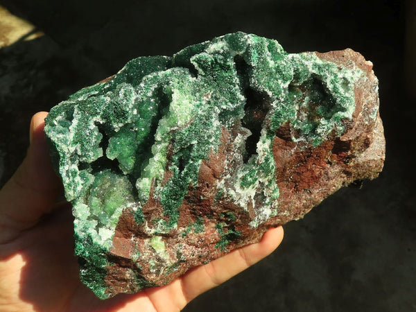 Natural Drusy Coated Malachite On Red Copper Dolomite Specimen x 1 From Likasi, Congo - Toprock Gemstones and Minerals 