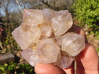 Natural Mixed Spirit Quartz Crystals x 75 From Boekenhouthoek, South Africa - Toprock Gemstones and Minerals 