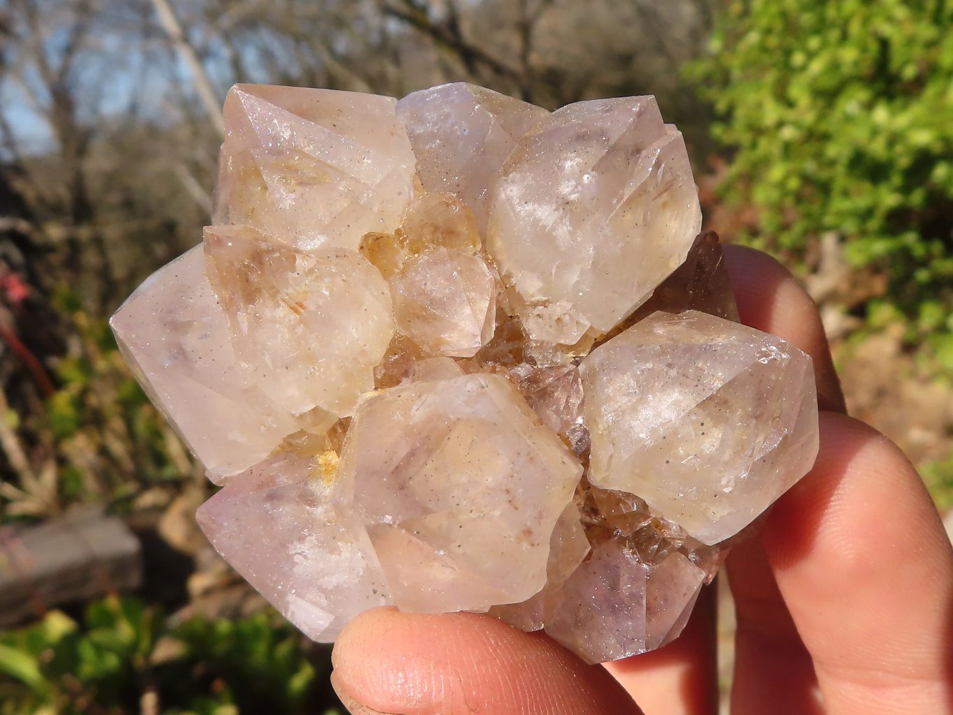 Natural Mixed Spirit Quartz Crystals x 75 From Boekenhouthoek, South Africa - Toprock Gemstones and Minerals 