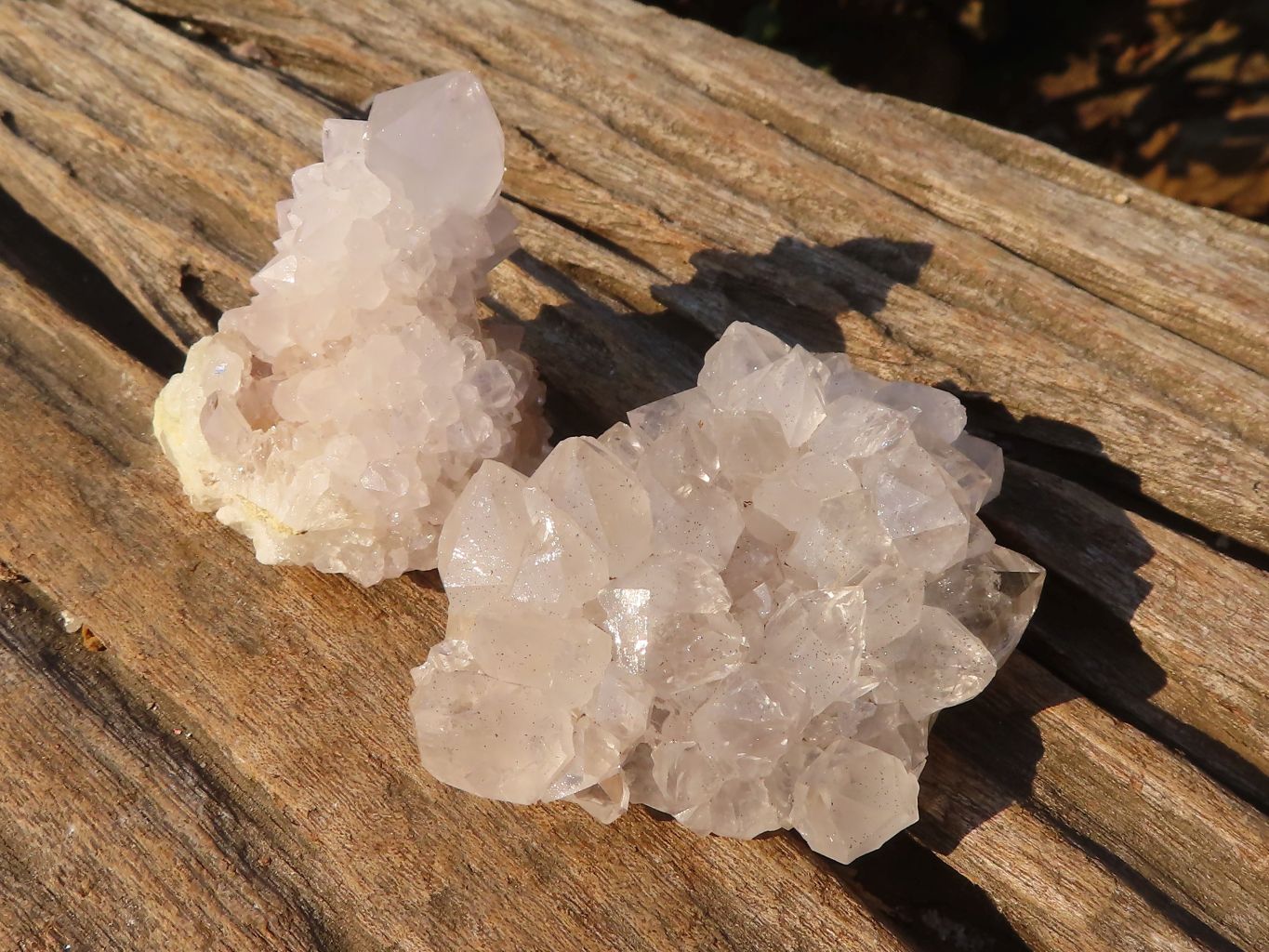 Natural Mixed Spirit Quartz Crystals x 75 From Boekenhouthoek, South Africa - Toprock Gemstones and Minerals 
