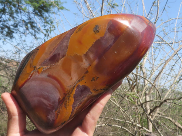 Polished Rare Nguni Jasper Standing Free Form With Excellent Patterns (Slightly Dry Finish) x 1 From Northern Cape, South Africa
