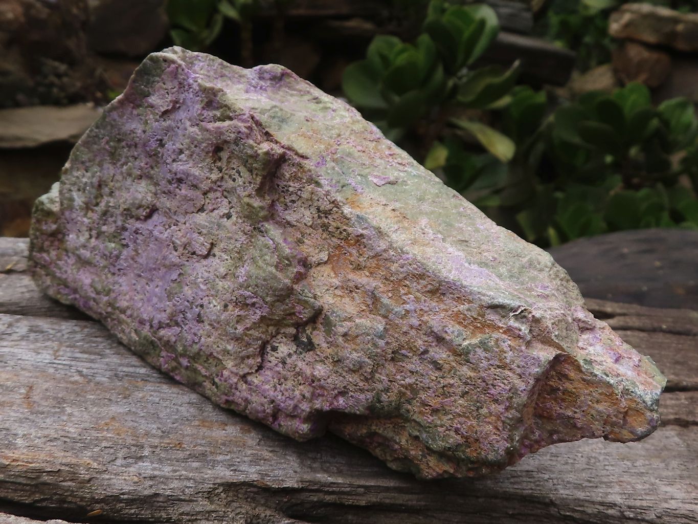 Natural Stichtite & Serpentine Standing Free Forms With Silky Purple Threads  x 6 From Boekenhouthoek, South Africa - TopRock