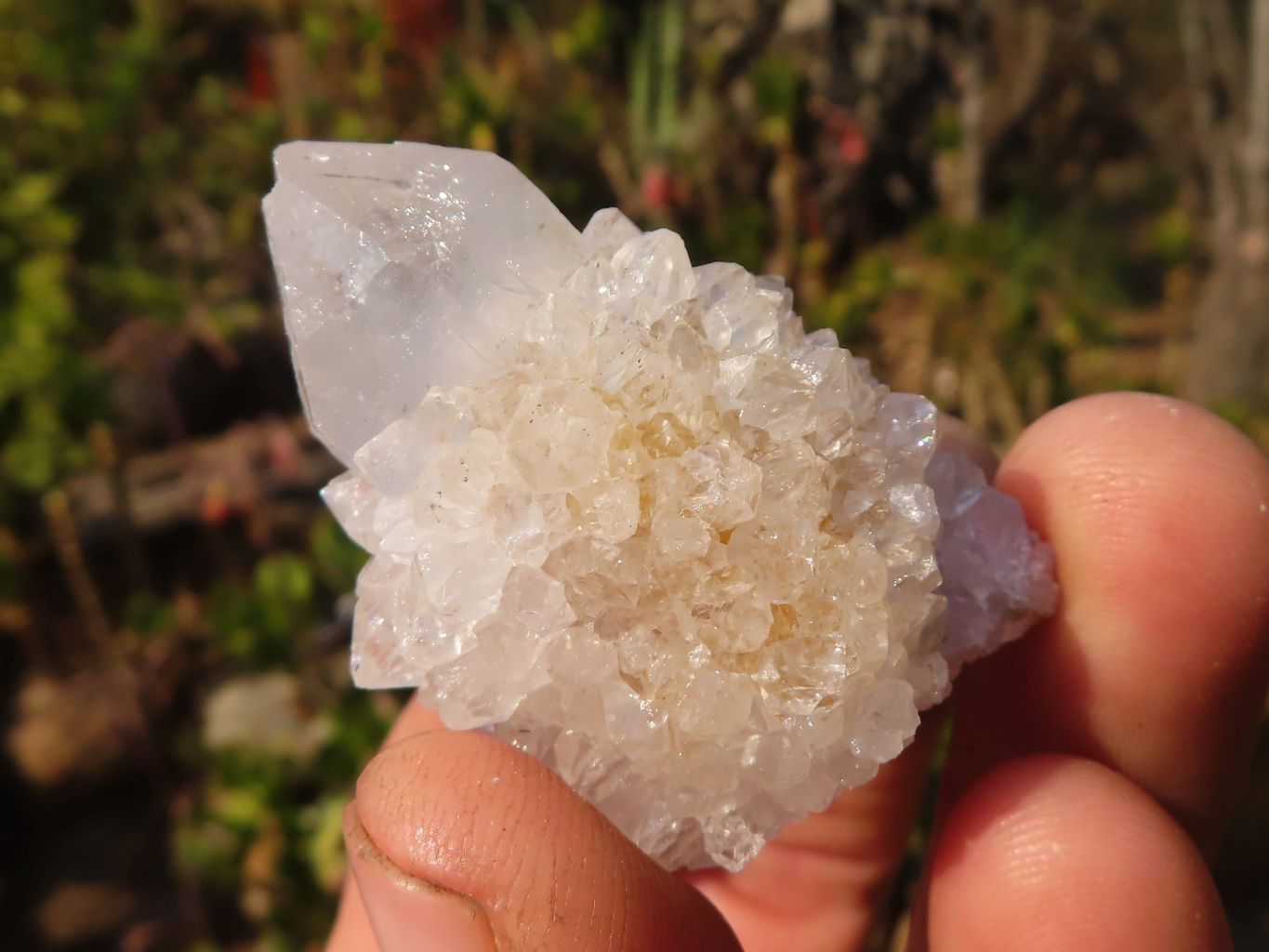 Natural Mixed Spirit Quartz Crystals x 75 From Boekenhouthoek, South Africa - Toprock Gemstones and Minerals 