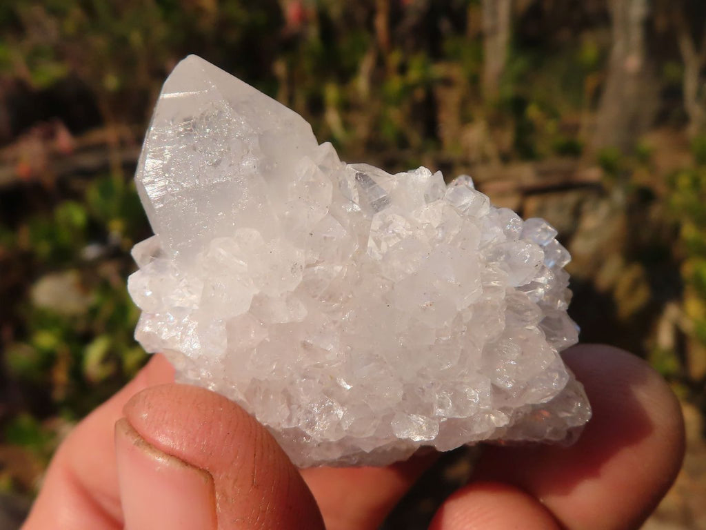 Natural Mixed Spirit Quartz Crystals x 75 From Boekenhouthoek, South Africa - Toprock Gemstones and Minerals 