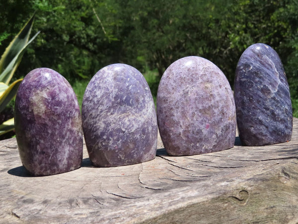 Polished Lepidolite Standing Free Forms With Pink Tourmaline x 4 From Madagascar - TopRock