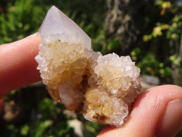 Natural Single Mixed Spirit Quartz Crystals  x 105 From Southern Africa - Toprock Gemstones and Minerals 