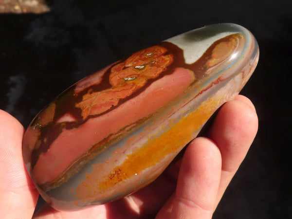 Polished Polychrome / Picasso Jasper Standing Free Forms  x 6 From Madagascar